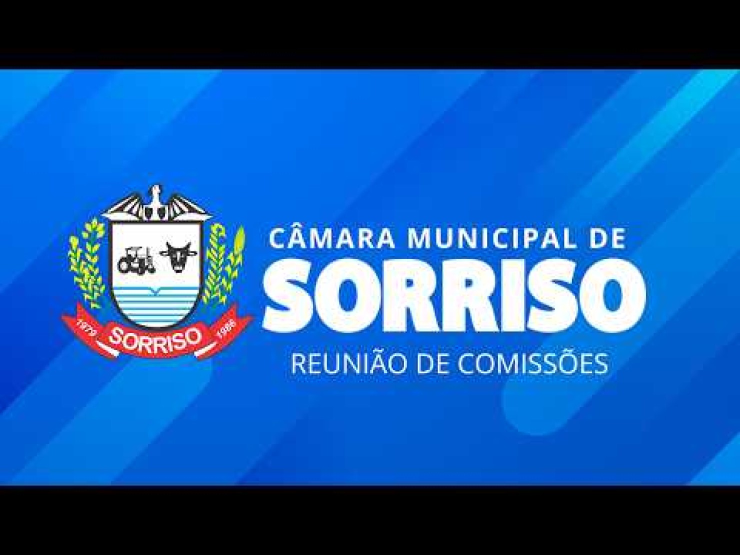REUNIÃO DAS COMISSÕES PERMANENTES